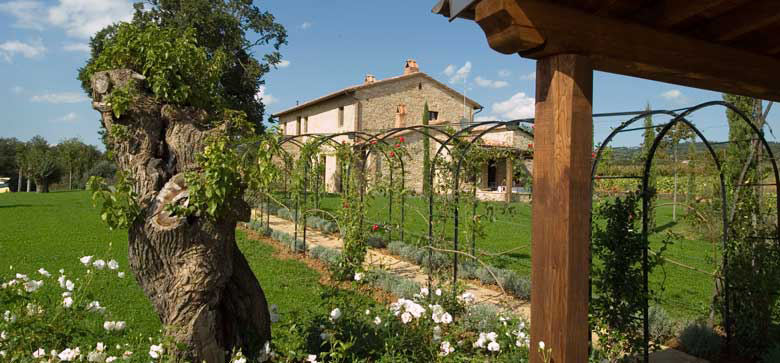 agriturismo il felceto01